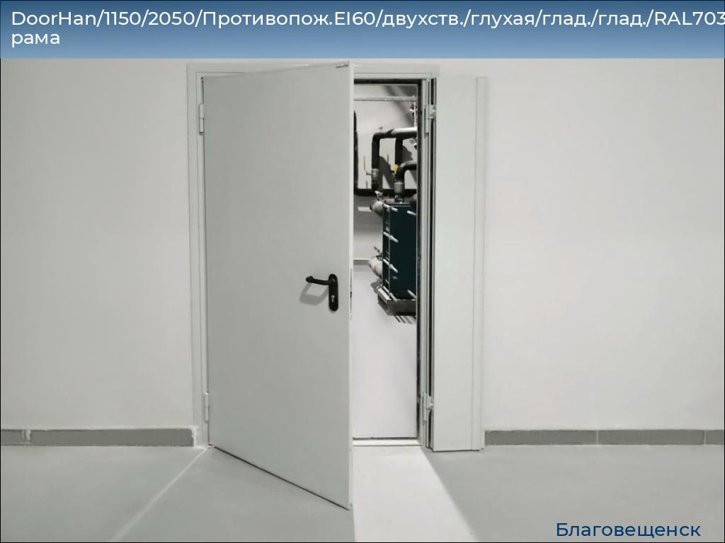 DoorHan/1150/2050/Противопож.EI60/двухств./глухая/глад./глад./RAL7035/лев./угл. рама, blagoveshchensk.doorhan.ru