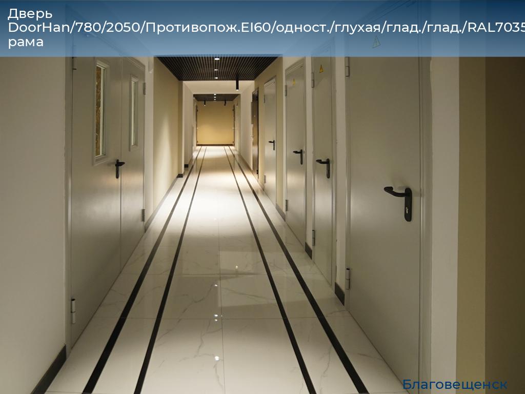 Дверь DoorHan/780/2050/Противопож.EI60/одност./глухая/глад./глад./RAL7035/лев./угл. рама, blagoveshchensk.doorhan.ru