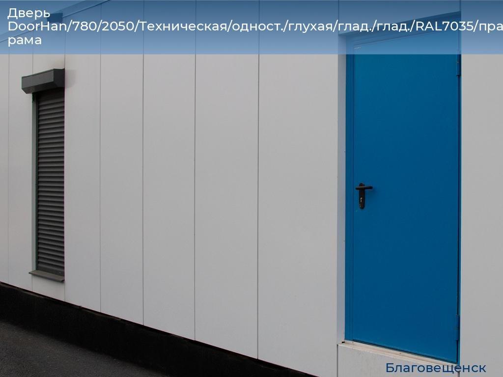 Дверь DoorHan/780/2050/Техническая/одност./глухая/глад./глад./RAL7035/прав./угл. рама, blagoveshchensk.doorhan.ru
