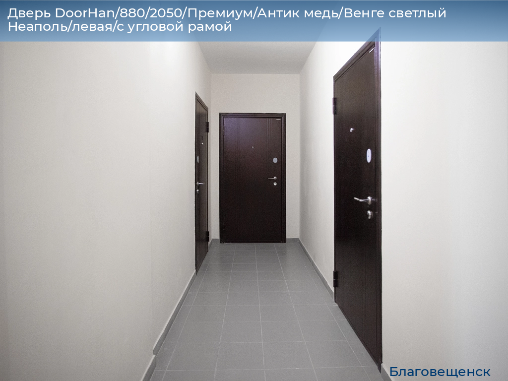 Дверь DoorHan/880/2050/Премиум/Антик медь/Венге светлый Неаполь/левая/с угловой рамой, blagoveshchensk.doorhan.ru