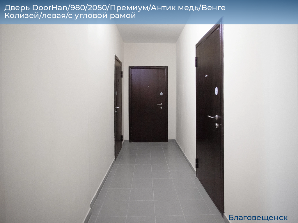 Дверь DoorHan/980/2050/Премиум/Антик медь/Венге Колизей/левая/с угловой рамой, blagoveshchensk.doorhan.ru