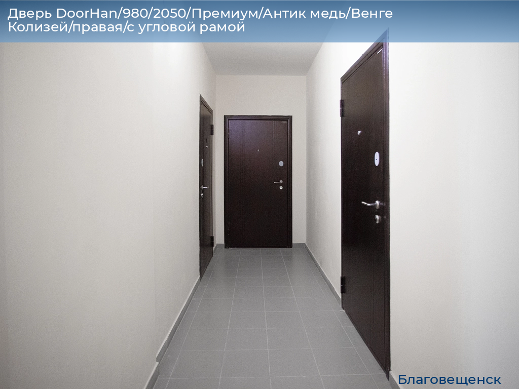 Дверь DoorHan/980/2050/Премиум/Антик медь/Венге Колизей/правая/с угловой рамой, blagoveshchensk.doorhan.ru
