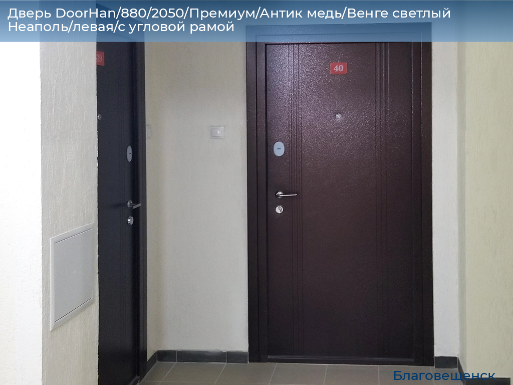 Дверь DoorHan/880/2050/Премиум/Антик медь/Венге светлый Неаполь/левая/с угловой рамой, blagoveshchensk.doorhan.ru